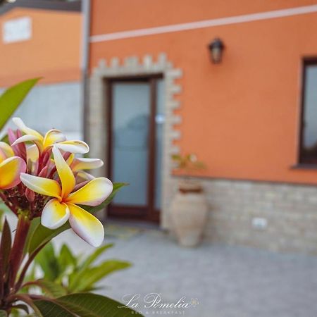 La Pomelia B&B Sofia Trappitello Exterior photo