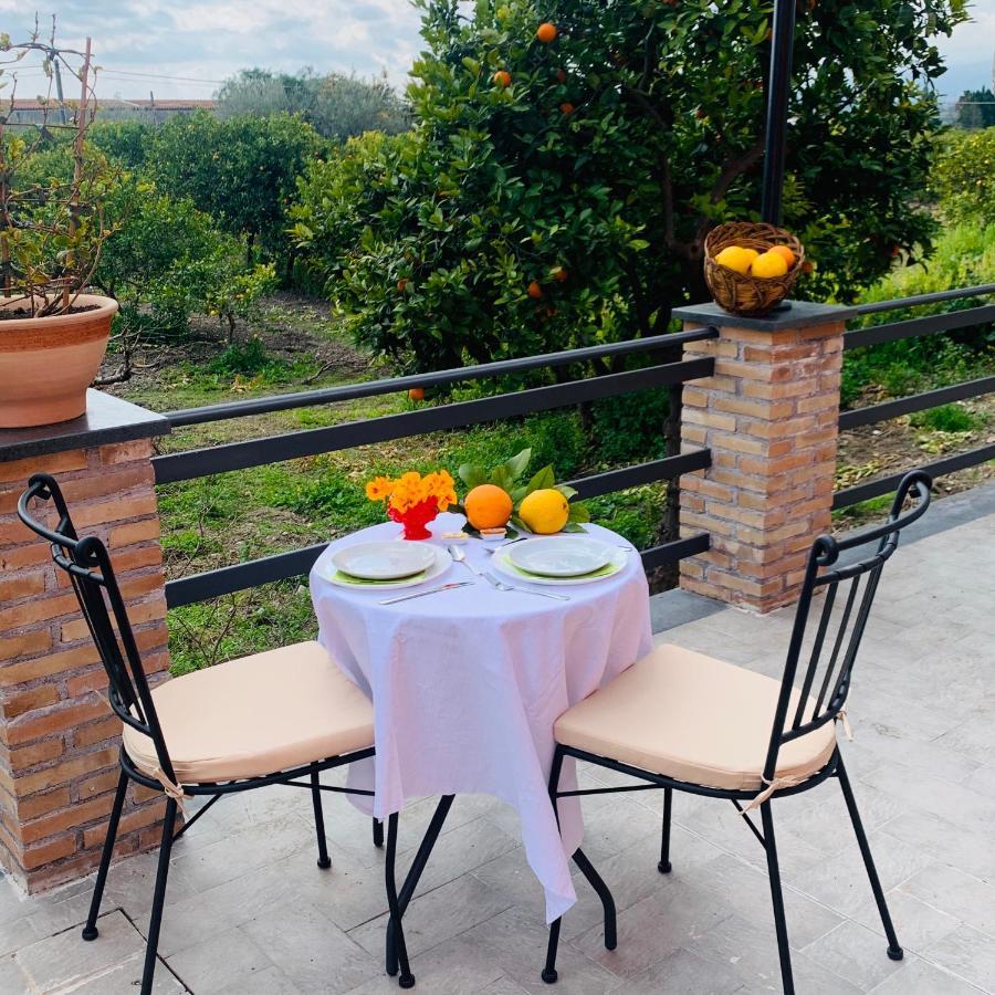 La Pomelia B&B Sofia Trappitello Exterior photo