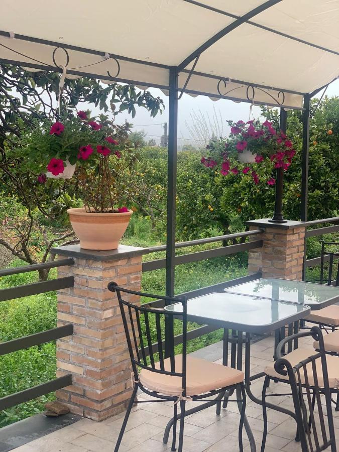 La Pomelia B&B Sofia Trappitello Exterior photo