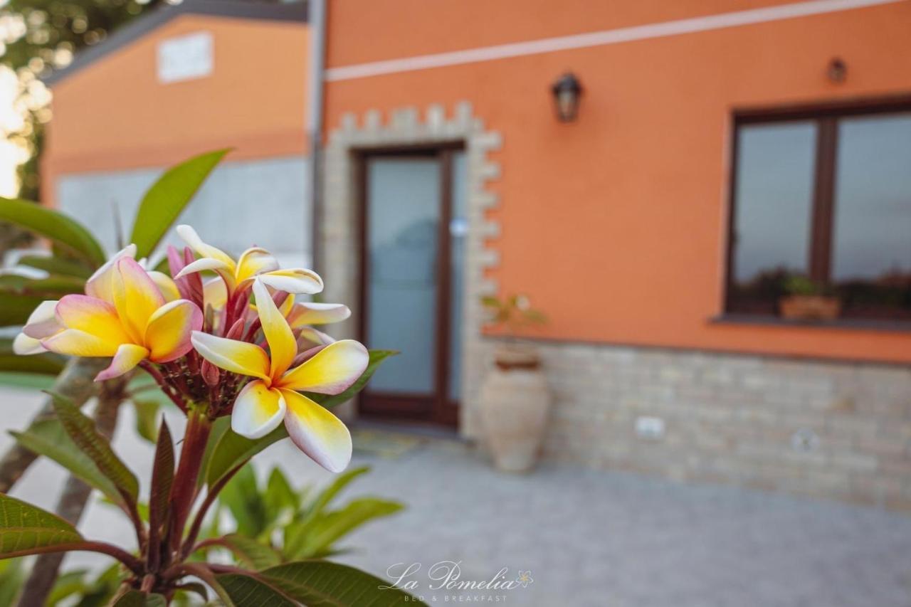 La Pomelia B&B Sofia Trappitello Exterior photo